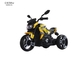 6V4.5A jonge geitjesrit op Motorfietsstuk speelgoed, Elektrisch voertuig die Toy Dirt Bike met Musical berijden