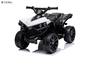 6V Kids Electric Quad ATV 4 Wheels Ride On Toy voor peuters Vooruit