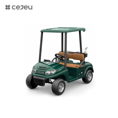 CJ-390 ((voldoende ruimte voor twee zitplaatsen), 12V10AH*1, #550*2, 2.4G, muziek, usb, mp3, golfkar met meerdere kleuropties