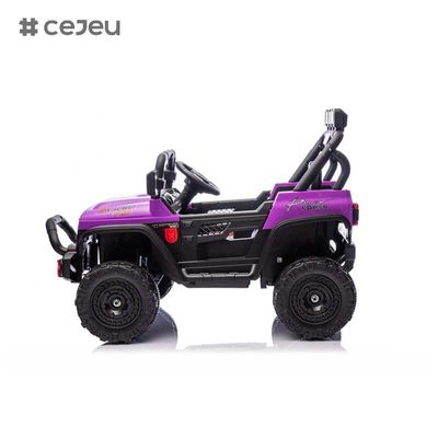 CJ-HP-018SJ 4 wiel aandrijving aangedreven UTV-modellen Goede keuze Achterste opslagruimte 2 snelheden beschikbaar Kleurrijke Paarse Zwarte Roze Blauwe Plastic Car