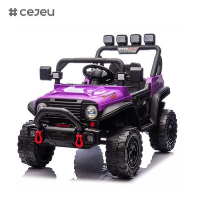 CJ-HP-018SJ 4 wiel aandrijving aangedreven UTV-modellen Goede keuze Achterste opslagruimte 2 snelheden beschikbaar Kleurrijke Paarse Zwarte Roze Blauwe Plastic Car